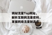 揭秘流量Top网站，解析互联网流量密码，掌握网络流量制高点