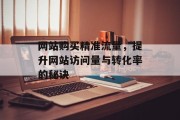 网站购买精准流量，提升网站访问量与转化率的秘诀