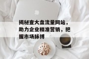 揭秘查大盘流量网站，助力企业精准营销，把握市场脉搏