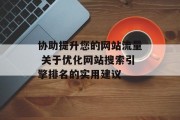 协助提升您的网站流量 关于优化网站搜索引擎排名的实用建议