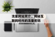 流量网站简介，揭秘互联网时代的流量密码
