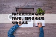 揭秘免费专业网站流量的秘密，如何低成本吸引海量访客