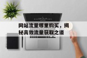 网站流量哪里购买，揭秘高效流量获取之道