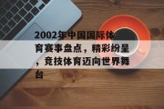2002年中国国际体育赛事盘点，精彩纷呈，竞技体育迈向世界舞台