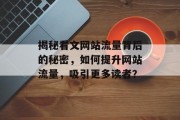 揭秘看文网站流量背后的秘密，如何提升网站流量，吸引更多读者？