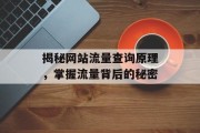 揭秘网站流量查询原理，掌握流量背后的秘密
