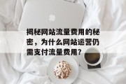 揭秘网站流量费用的秘密，为什么网站运营仍需支付流量费用？