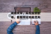 湖南大学，从校园到职场，差距何以如此之大？