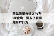 网站流量分析之PV与UV查询，深入了解网站用户行为