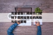 流量警告！揭秘热门视频下载网站背后的风险与应对策略
