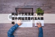 网站一个月流量，揭秘提升网站流量的五大策略