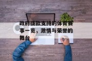 政府拨款支持的体育赛事一览，激情与荣誉的舞台