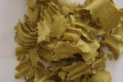 如何制定豆粕期货期权策略？该策略在实际应用中有何效果？