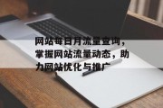 网站每日月流量查询，掌握网站流量动态，助力网站优化与推广