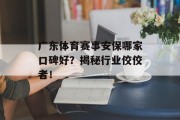 广东体育赛事安保哪家口碑好？揭秘行业佼佼者！