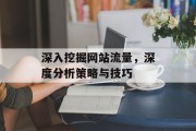 深入挖掘网站流量，深度分析策略与技巧