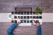 常州网站流量营销公司，助力企业提升网络曝光度，实现业绩飞跃