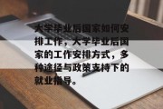 大学毕业后国家如何安排工作，大学毕业后国家的工作安排方式，多种途径与政策支持下的就业指导。