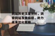 网站历史流量分析，洞察网站发展脉络，助力未来优化策略