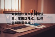 如何轻松查手机网站流量，掌握这几点，让你告别流量焦虑