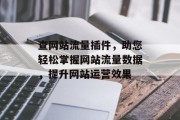 查网站流量插件，助您轻松掌握网站流量数据，提升网站运营效果