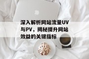 深入解析网站流量UV与PV，揭秘提升网站效益的关键指标