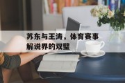 苏东与王涛，体育赛事解说界的双璧