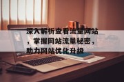 深入解析查看流量网站，掌握网站流量秘密，助力网站优化升级