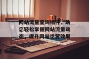 网站流量查询插件，助您轻松掌握网站流量动态，提升网站运营效果