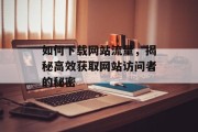 如何下载网站流量，揭秘高效获取网站访问者的秘密
