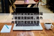 揭秘抖音流量监测网站，掌握流量脉搏，助力内容创作者精准布局