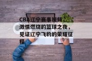 CBA辽宁赛事视频，激情燃烧的篮球之夜，见证辽宁飞豹的荣耀征程