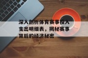 深入剖析体育赛事投入支出明细表，揭秘赛事背后的经济秘密