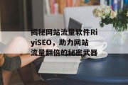 揭秘网站流量软件RiyiSEO，助力网站流量翻倍的秘密武器