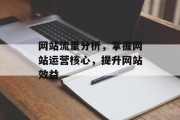 网站流量分析，掌握网站运营核心，提升网站效益