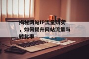 揭秘网站IP流量购买，如何提升网站流量与转化率