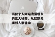 揭秘个人网站流量增长的五大秘籍，从默默无闻到人潮涌动