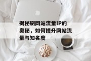 揭秘刷网站流量IP的奥秘，如何提升网站流量与知名度