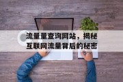 流量量查询网站，揭秘互联网流量背后的秘密