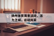 扬州体育赛事活动，活力之城，运动风采