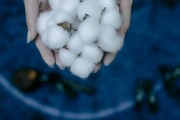 如何分析螺纹期货价格波动规律？一个点位的价值如何确定？
