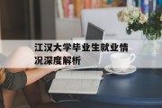 江汉大学毕业生就业情况深度解析