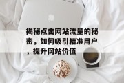 揭秘点击网站流量的秘密，如何吸引精准用户，提升网站价值