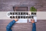 淘宝网流量网站，揭秘电商流量背后的秘密