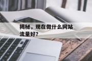 揭秘，现在做什么网站流量好？