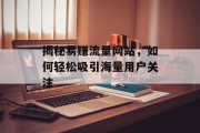 揭秘易赚流量网站，如何轻松吸引海量用户关注
