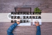 揭秘提升网站流量的秘密武器，五大高效工具助你一路飙升！