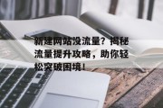 新建网站没流量？揭秘流量提升攻略，助你轻松突破困境！