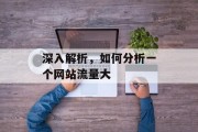 深入解析，如何分析一个网站流量大