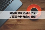 网站用流量访问不了了，原因分析及应对策略